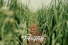 Load image into Gallery viewer, Vighnaharta