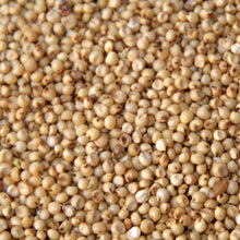 Load image into Gallery viewer, Jowar (Sorghum) (500 gm)
