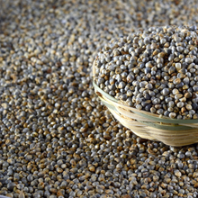 Load image into Gallery viewer, Bajra (Pearl Millet) (500 gm)