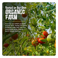 Load image into Gallery viewer, Organic Tomato Ketchup – 300g | My Organic Earth
