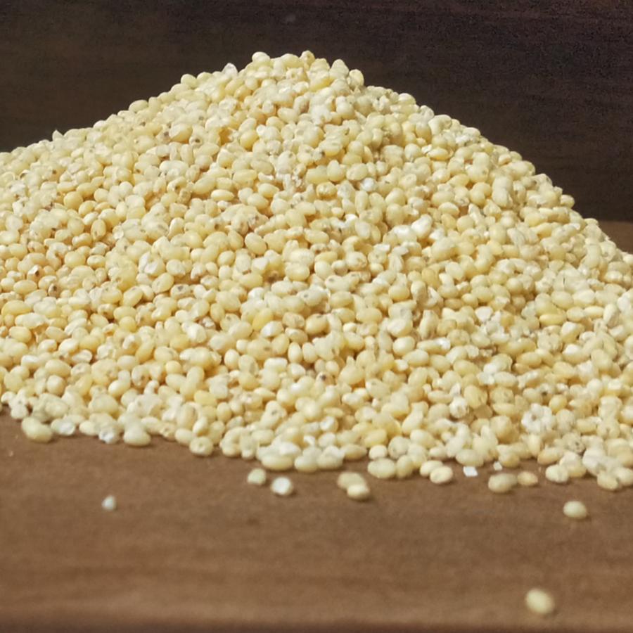 Proso Millet (500 gm)