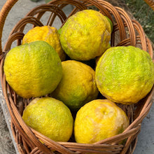 Load image into Gallery viewer, Idlimbu (Sour Orange) (1 kg)
