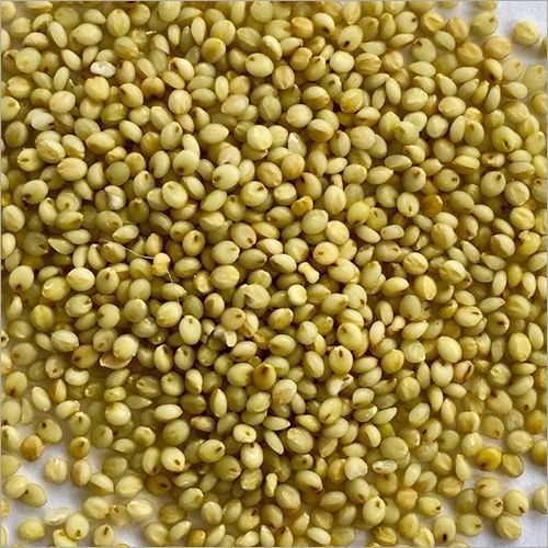 Brown Top Millet (500 gm)