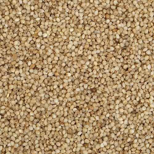 Little Millet (500 gm)