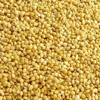 Foxtail Millet (500 gm)